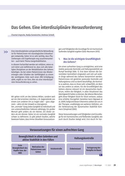 Das Gehen. Das Gehen.<br />Eine interdisziplinäre Herausforderung<br /><br />..... Eine interdisziplinäre und ganzheitliche Behandlung ist für Patient:innen mit neurologischen Erkrankungen notwendig. Daher ist es sehr wichtig, dass Physiotherapie und Ergotherapie eng zusammenarbeiten – auch beim Thema Gangrehabilitation. In diesem Fachartikel werden wir erklären, wieso es sich lohnt und zielführend ist, dass sich alle beteiligten Disziplinen an der Rehabilitation des Gehens beteiligen. Da bei vielen Patient*innen das Wiedererlangen oder Erhalten der Gehfähigkeit zu einem der wichtigsten Ziele nach einer ZNS-Schädigung<br />zählt, ergibt es nur Sinn, dies als eine interdisziplinäre Herausforderung zu sehen. ..........<br /><br />*Publiziert: Zeitschrift praxis Ergotherapie 2023-01